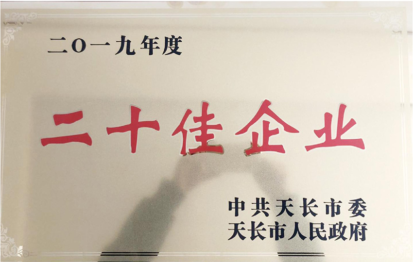 二十佳企业